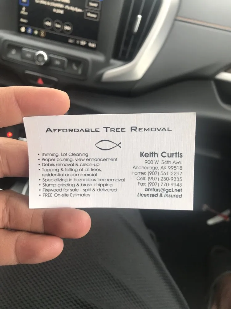 Professional yard cleanup service in Anchorage, AK by Affordable Tree Removal