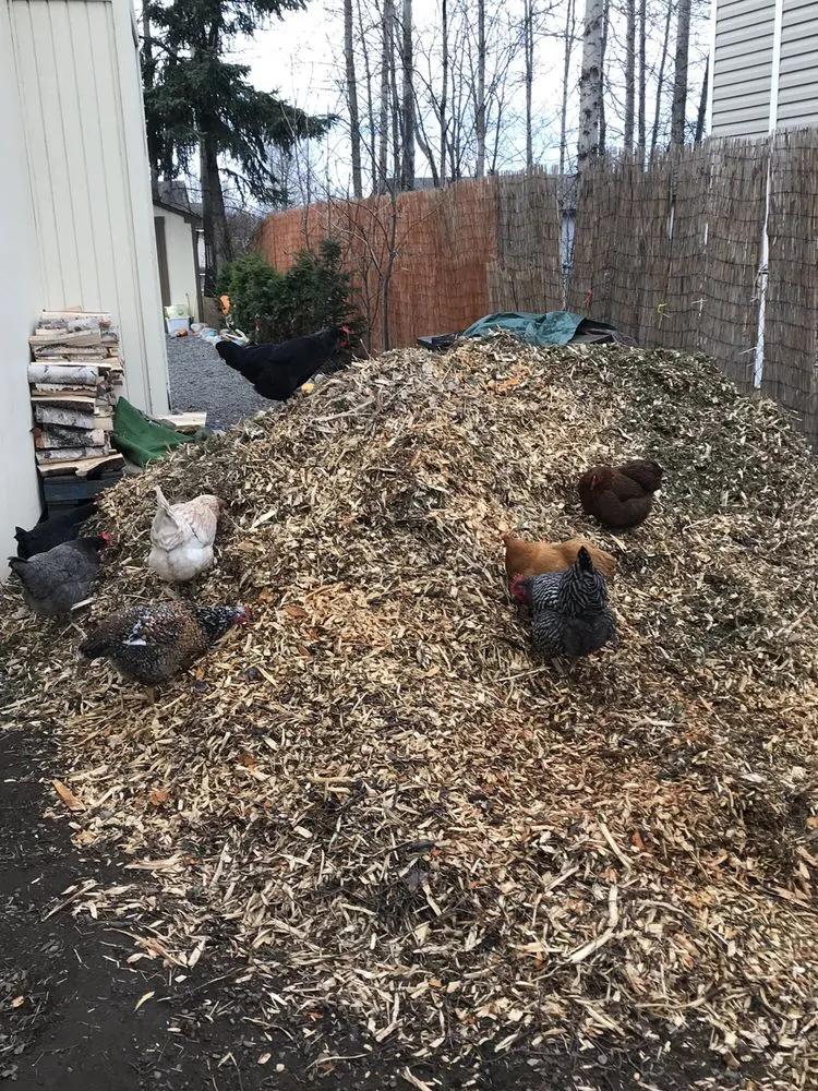 Reliable lawn mowing service in Anchorage, AK by Affordable Tree Removal