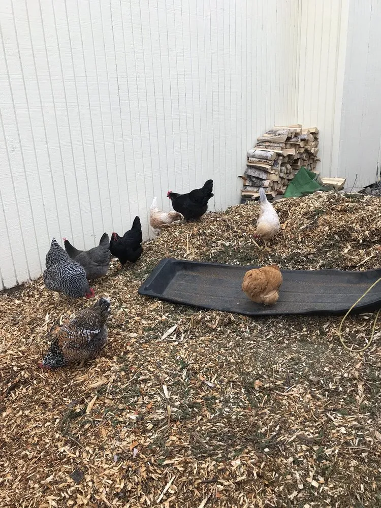 Local landscape installation in Anchorage, AK - Affordable Tree Removal