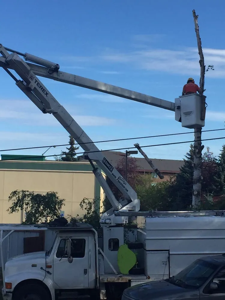 Professional lawn mowing service for beautiful yards across Anchorage, AK - Affordable Tree Removal