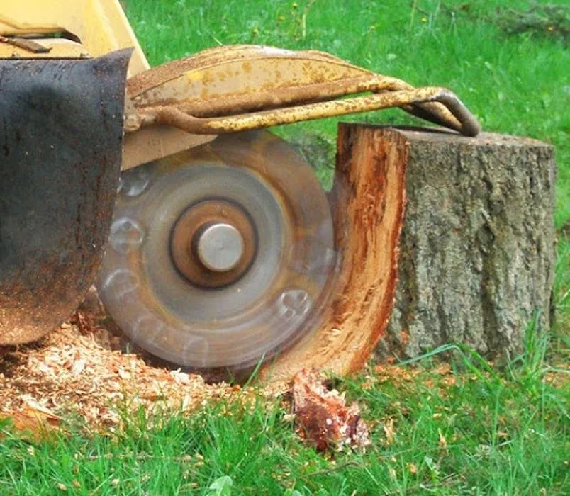 Custom outdoor landscaping in Fort Walton Beach, FL - Affordable Tree Service and Landscape Company