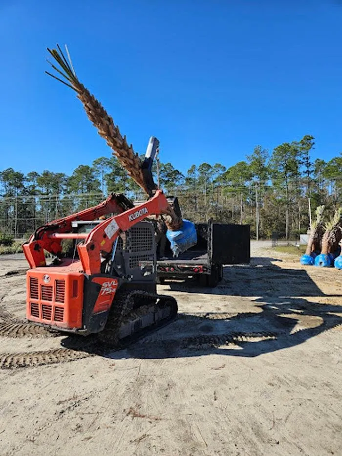 Professional yard cleanup service for beautiful yards across Fort Walton Beach, FL - Affordable Tree Service and Landscape Company