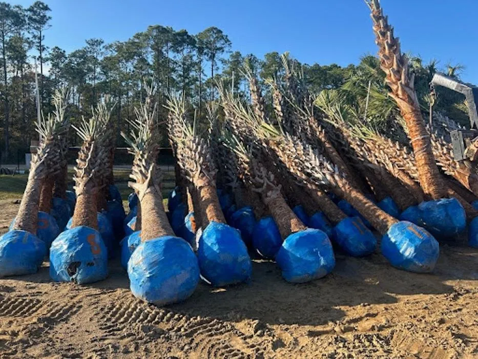 Professional landscape installation in Fort Walton Beach, FL by Affordable Tree Service and Landscape Company