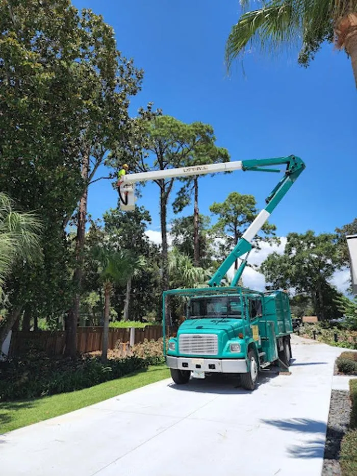 Custom lawn mowing service for outdoor upgrades in Fort Walton Beach, FL by Affordable Tree Service and Landscape Company