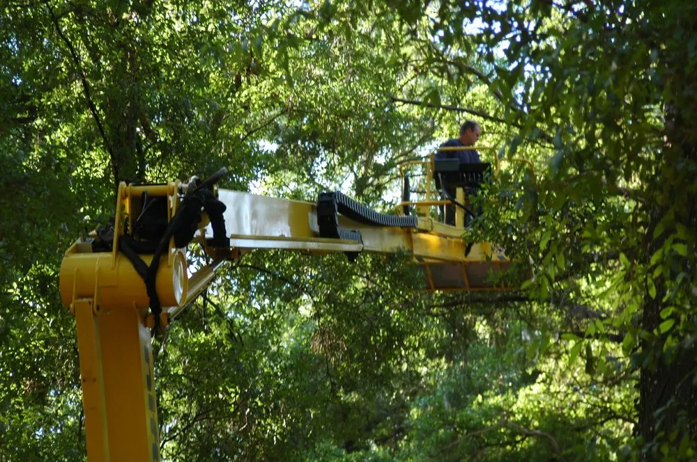 Expert landscape installation for residential properties across Deland, FL - Affordable Tree Service