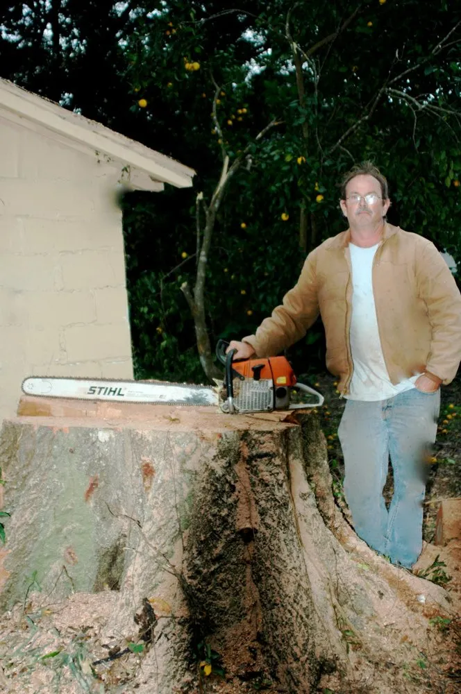 Local yard cleanup service in Deland, FL by Affordable Tree Service