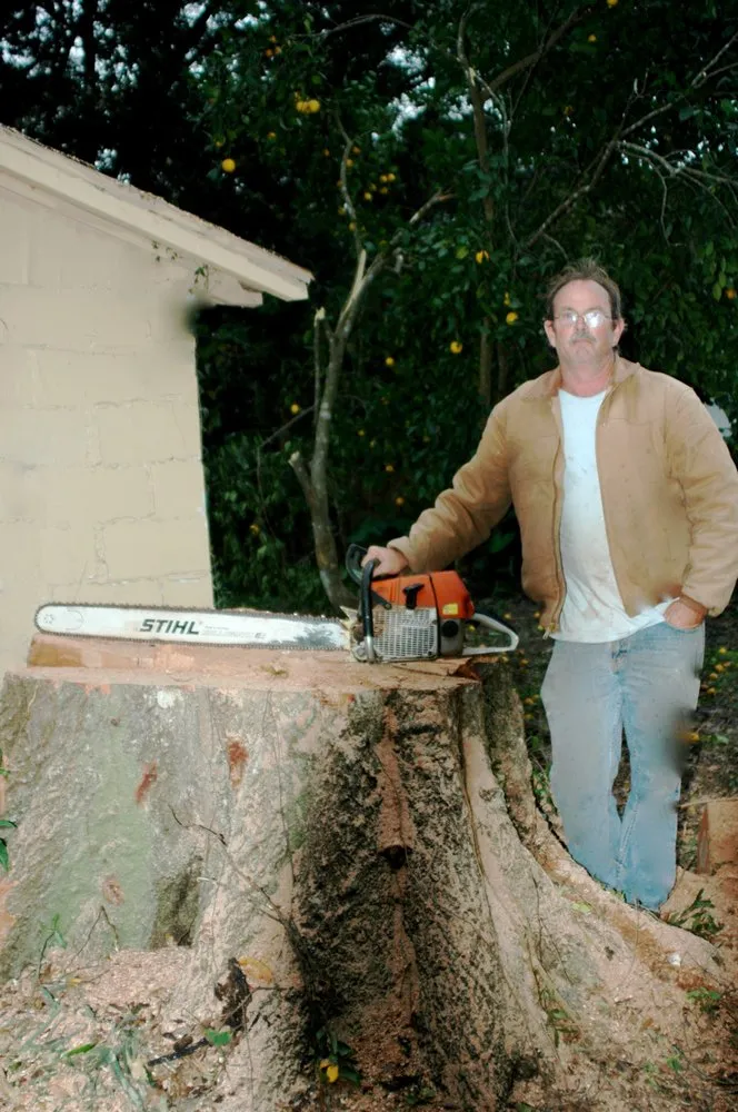 Professional landscape installation in Deland, FL - Affordable Tree Service