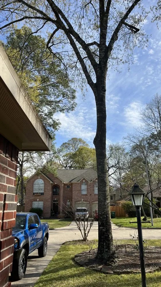 Custom lawn care service for residential properties across Houston, TX - Affordable Tree Service