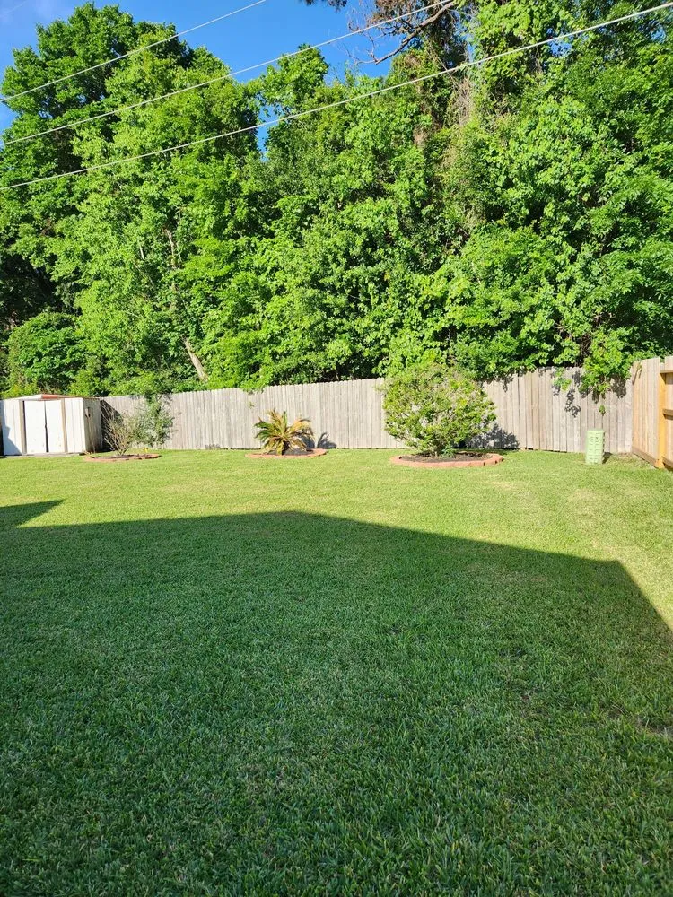 Professional landscape design with custom design in Houston, TX by Affordable Tree Service