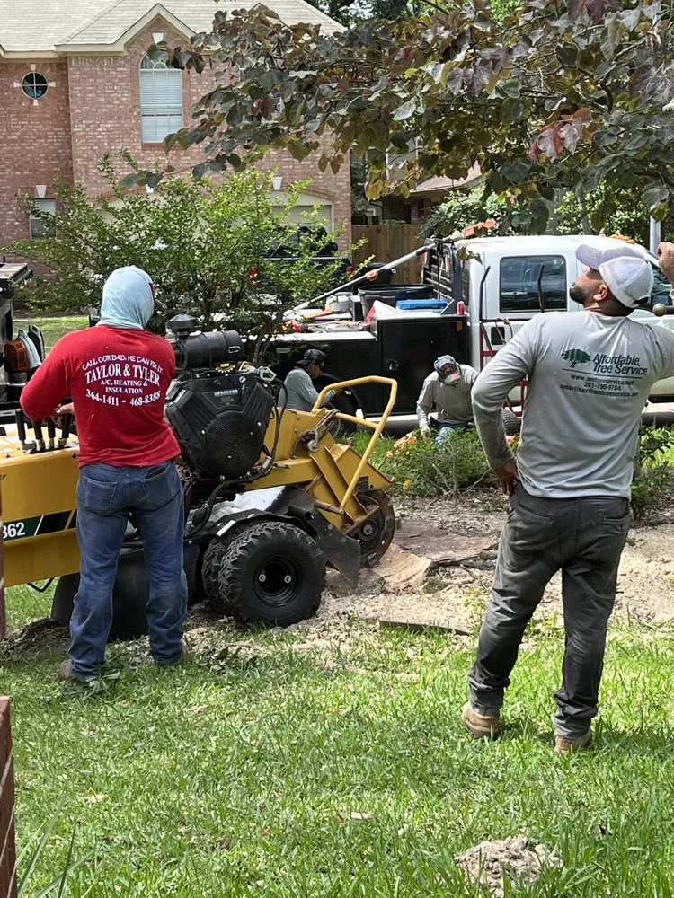 Local landscaping services for residential properties across Houston, TX - Affordable Tree Service