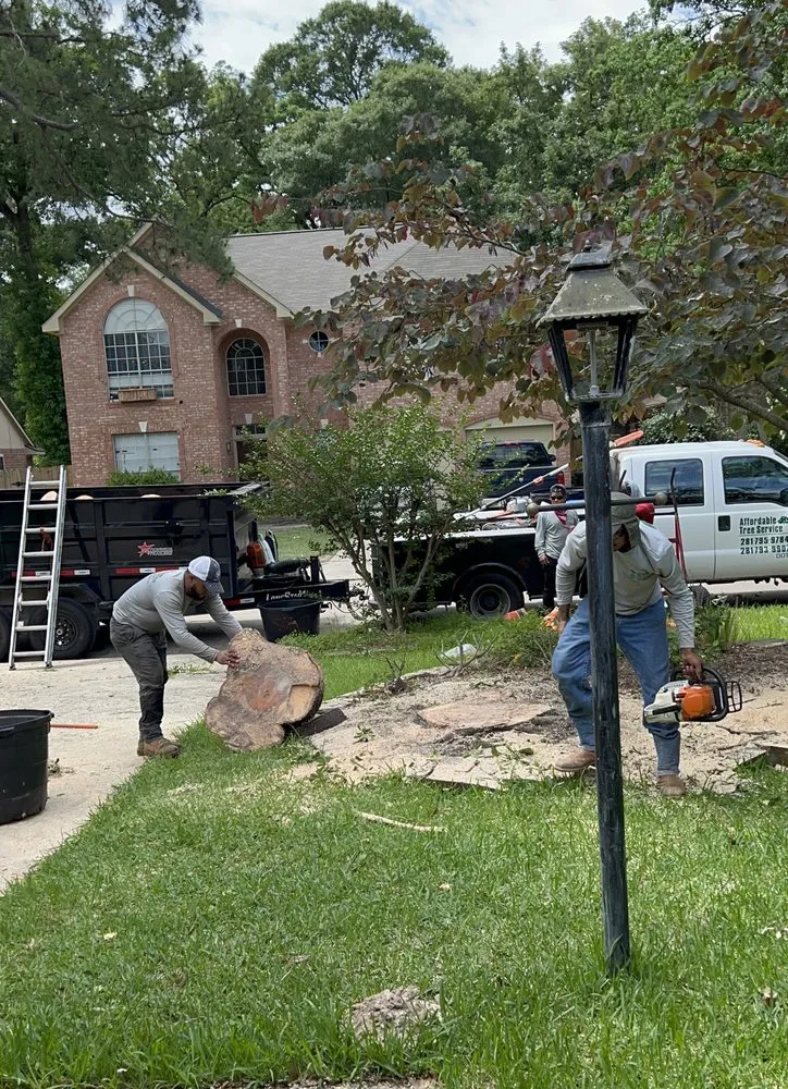 Affordable outdoor landscaping for homes across Houston, TX - Affordable Tree Service