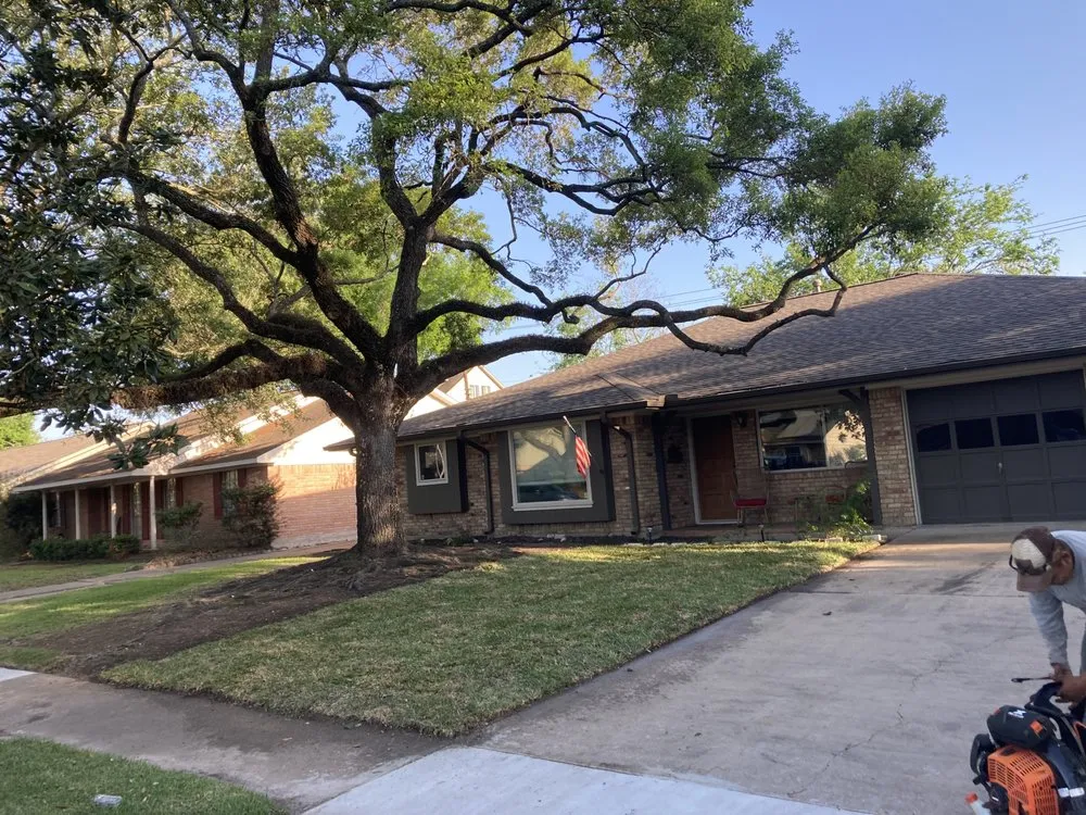 Top-rated landscape installation for homes across Houston, TX - Affordable Tree Service