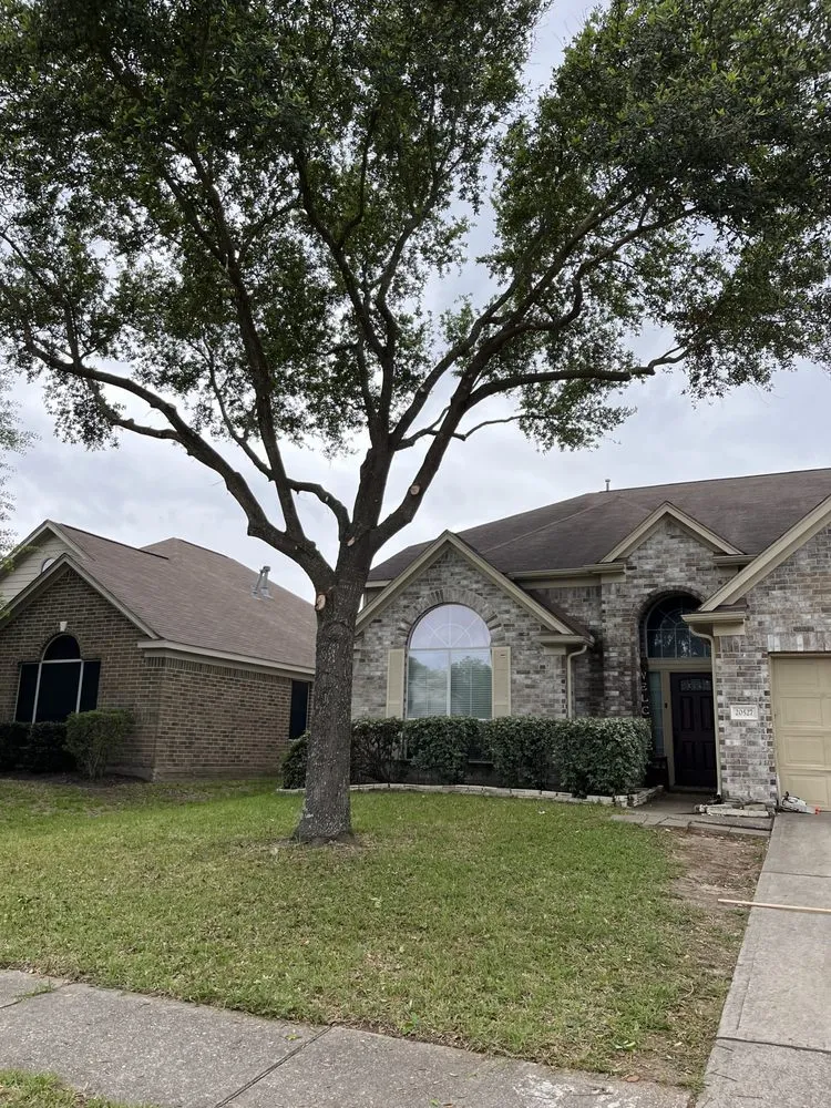 Expert lawn care service in Houston, TX by Affordable Tree Service