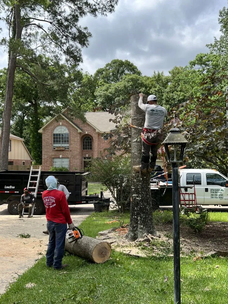 Reliable garden landscaping for residential properties in Houston, TX by Affordable Tree Service