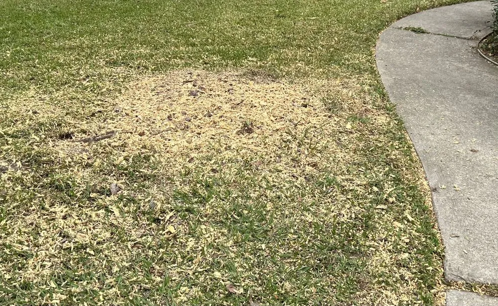 Affordable landscaping services for homes across Houston, TX - Affordable Tree Service