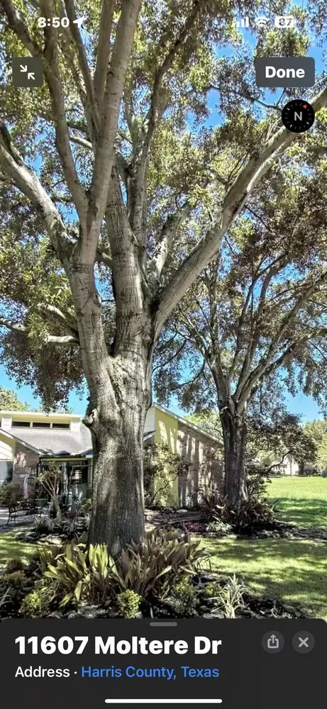 Trusted landscaping services for beautiful yards across Houston, TX - Affordable Tree Service