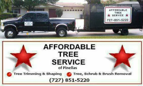 Expert landscape installation experts serving Clearwater, FL - Affordable Tree Service of Pinellas