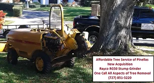 Trusted yard maintenance in Clearwater, FL by Affordable Tree Service of Pinellas