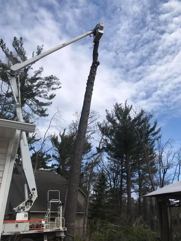 Reliable yard maintenance with custom design in Rosholt, WI by Affordable Tree Service