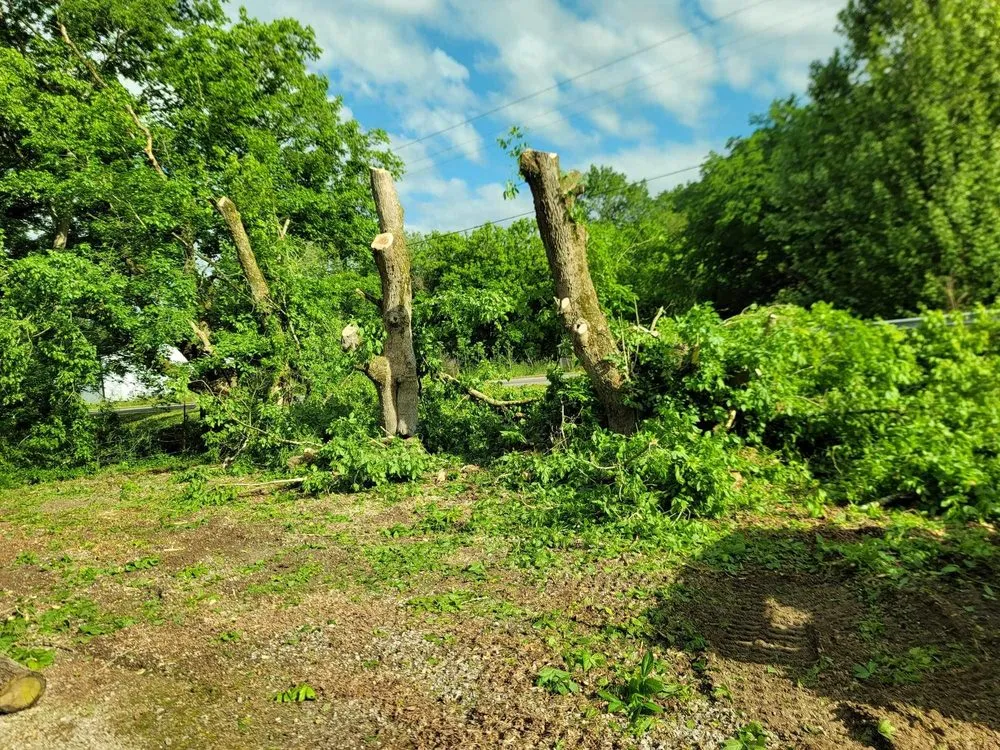 Local garden landscaping for homes across Woodbury, TN - Affordable Tree Services & More