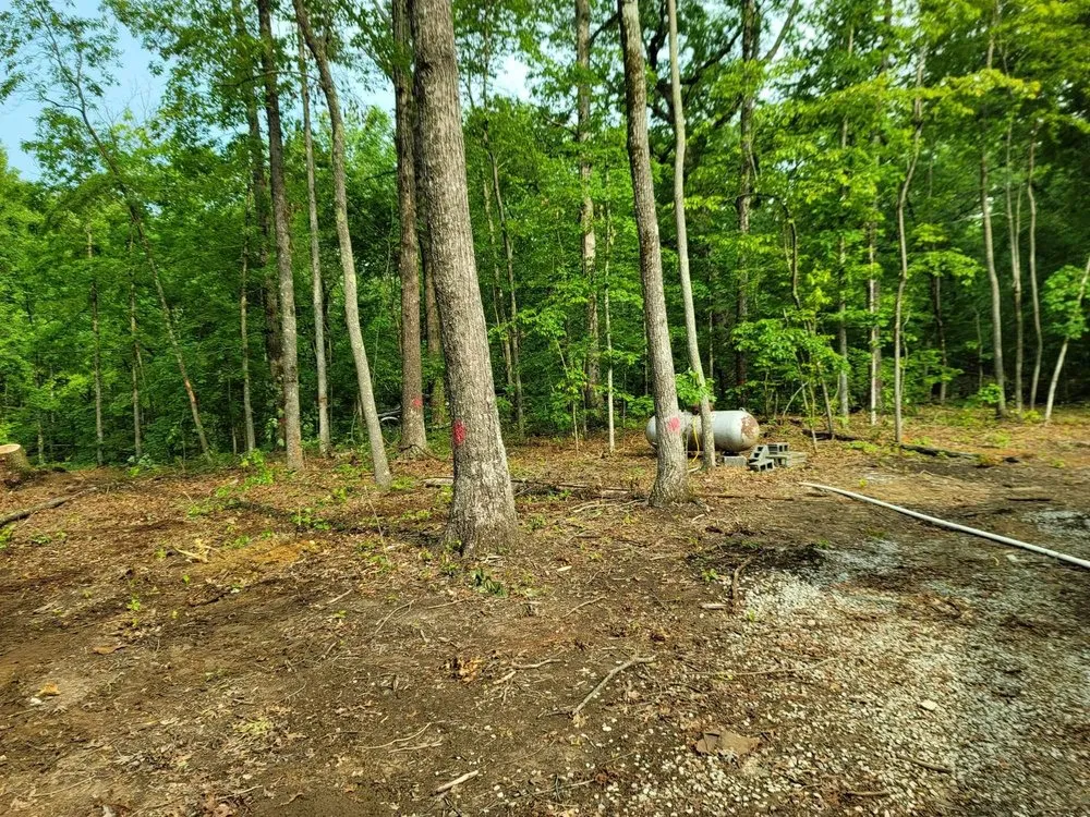 Professional residential landscaping for year-round maintenance in Woodbury, TN by Affordable Tree Services & More