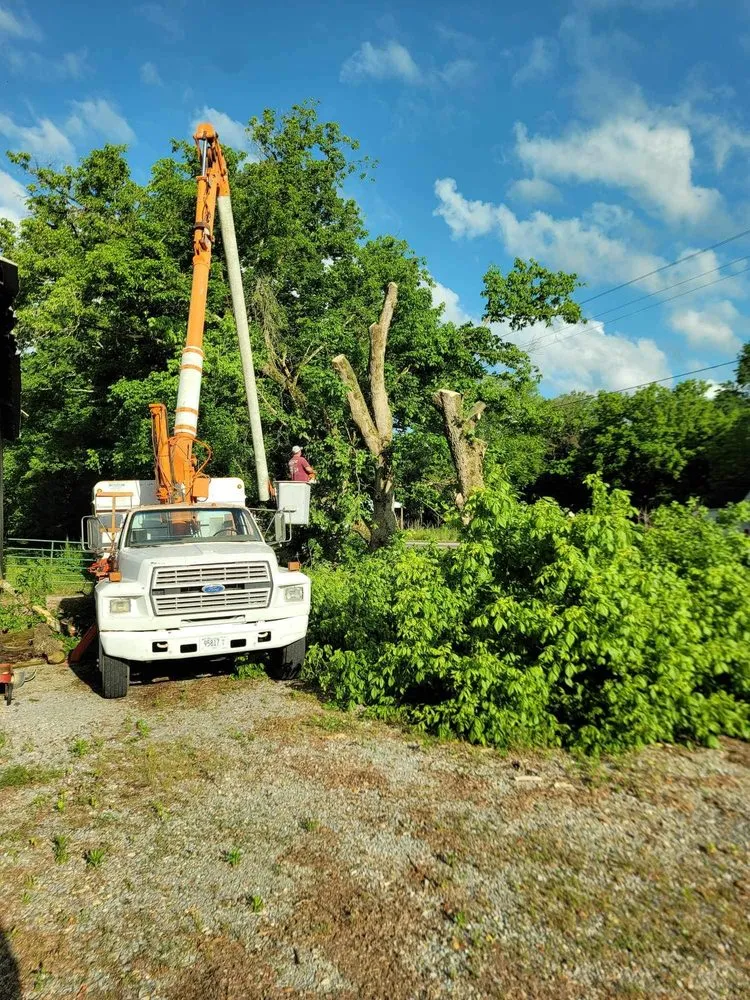 Local outdoor landscaping in Woodbury, TN by Affordable Tree Services & More