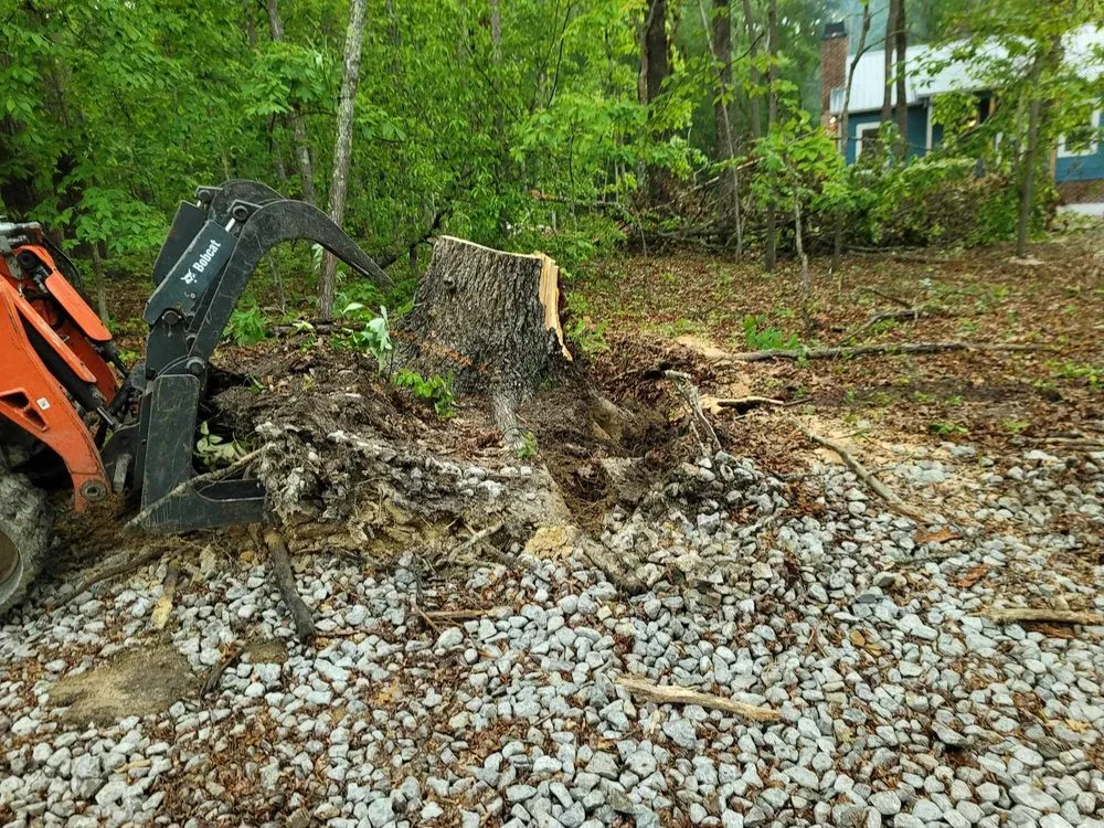 Professional lawn mowing service experts serving Woodbury, TN - Affordable Tree Services & More