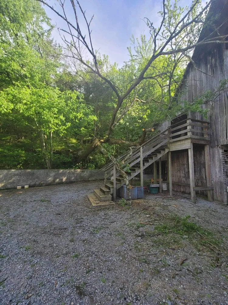 Local outdoor landscaping in Woodbury, TN - Affordable Tree Services & More