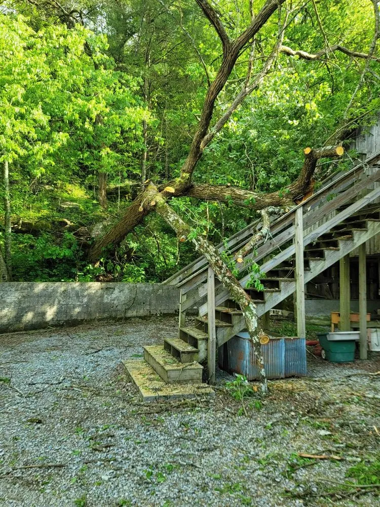 Trusted landscape design with custom design in Woodbury, TN by Affordable Tree Services & More