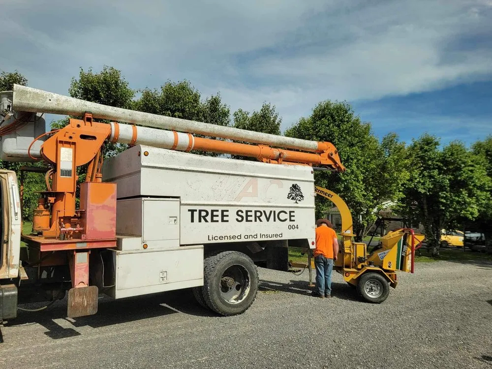 Top-rated residential landscaping experts serving Woodbury, TN - Affordable Tree Services & More