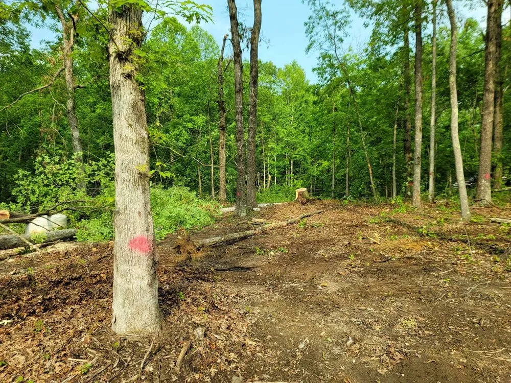 Local landscape installation in Woodbury, TN - Affordable Tree Services & More