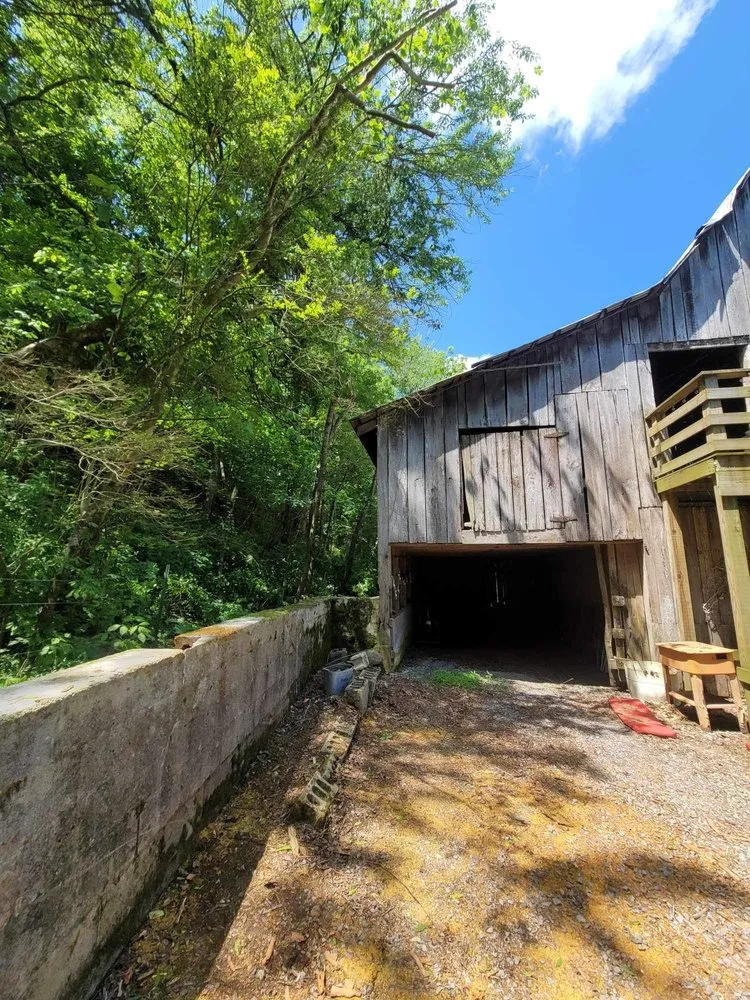 Local residential landscaping experts serving Woodbury, TN - Affordable Tree Services & More