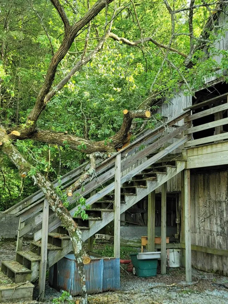 Affordable yard maintenance in Woodbury, TN by Affordable Tree Services & More