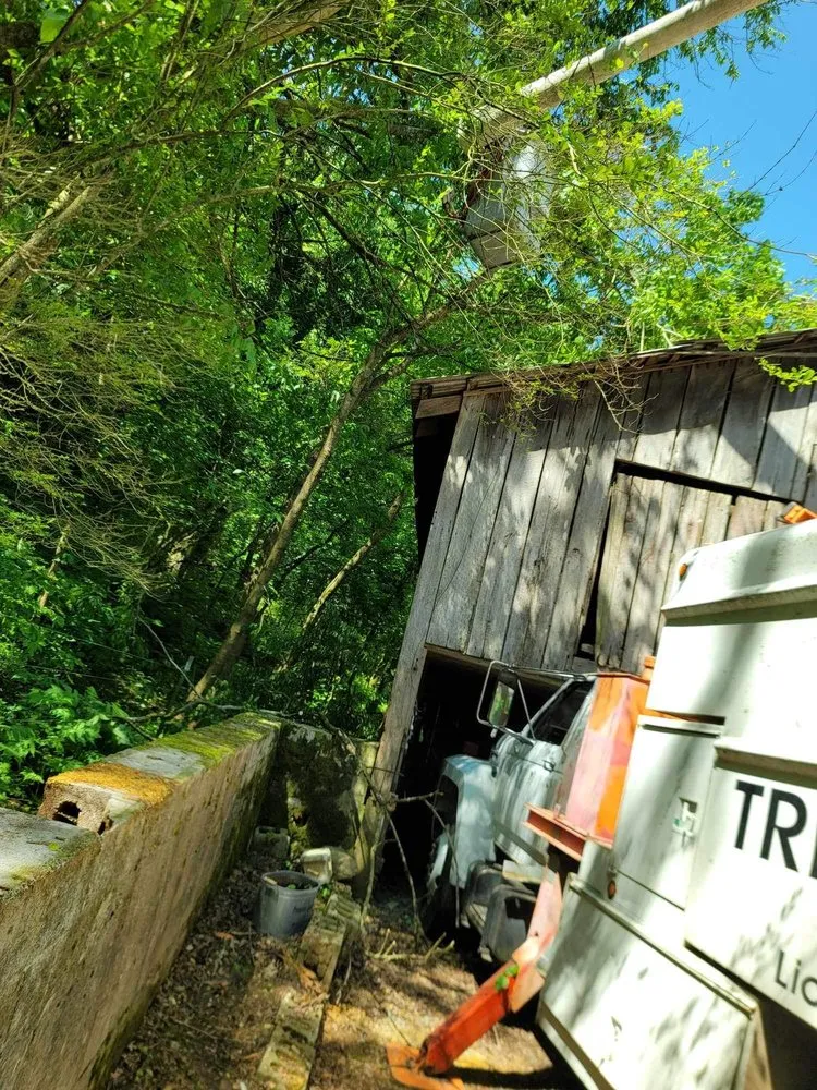 Custom lawn mowing service in Woodbury, TN by Affordable Tree Services & More