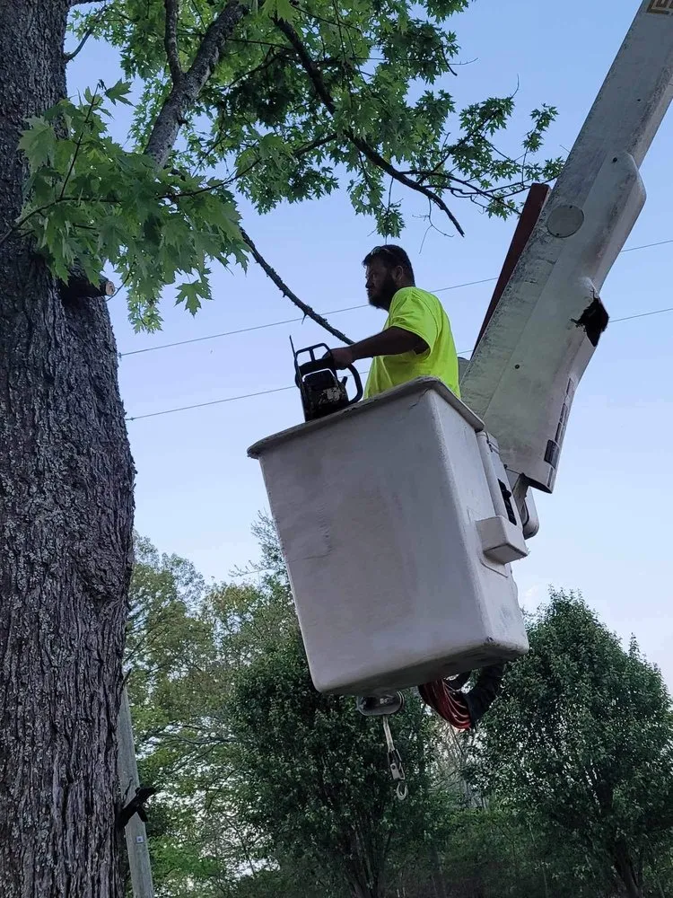 Reliable garden landscaping for residential properties in Woodbury, TN by Affordable Tree Services & More