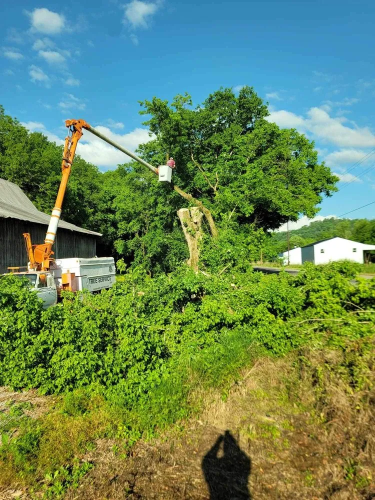 Custom lawn mowing service for beautiful yards in Woodbury, TN by Affordable Tree Services & More