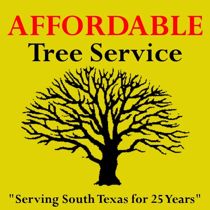 Reliable yard cleanup service near you in Conroe, TX by Affordable Tree Services