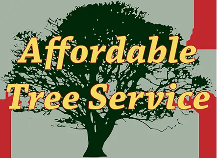 Local yard cleanup service in Missoula, MT by Affordable Tree Services