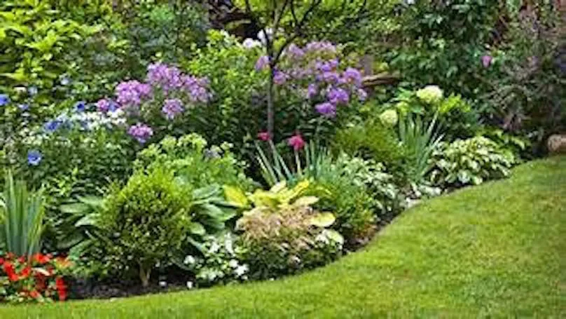 Top-rated outdoor landscaping for year-round maintenance in Saint Clair Shores, MI by Affordable Varsity Landscaping