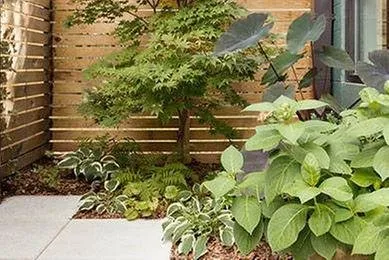 Professional residential landscaping experts serving Saint Clair Shores, MI - Affordable Varsity Landscaping