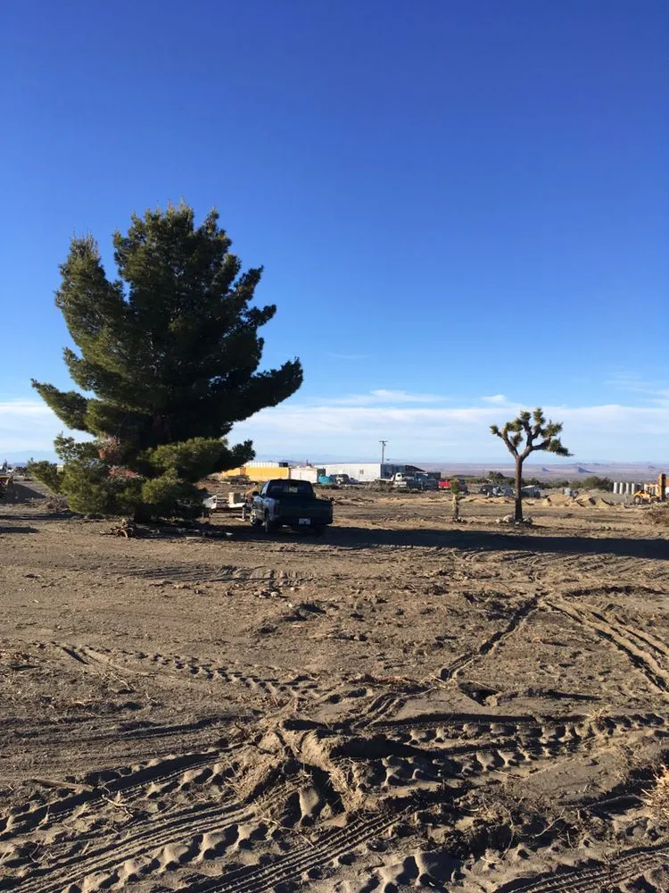 Trusted outdoor landscaping in Phelan, CA - Affordable Weed Abatement