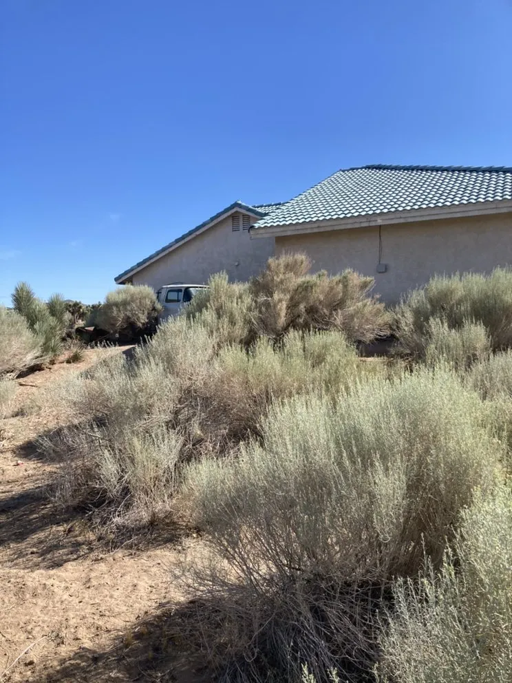 Custom yard cleanup service for outdoor upgrades in Phelan, CA by Affordable Weed Abatement