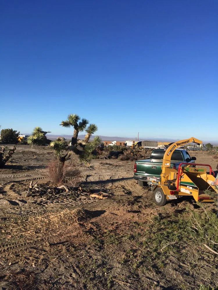 Professional yard maintenance in Phelan, CA - Affordable Weed Abatement