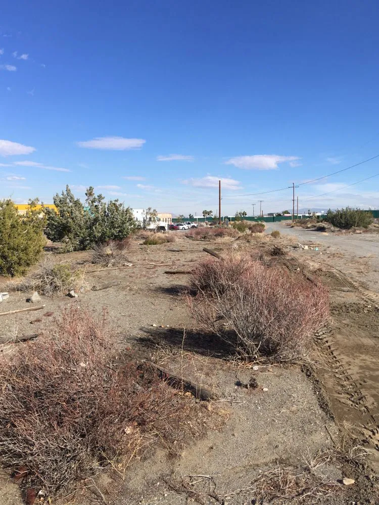 Custom landscape design in Phelan, CA by Affordable Weed Abatement