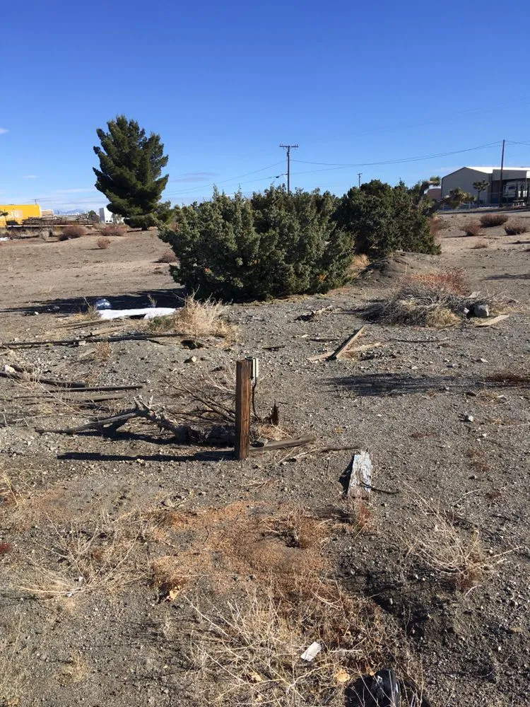 Affordable landscaping services for beautiful yards across Phelan, CA - Affordable Weed Abatement