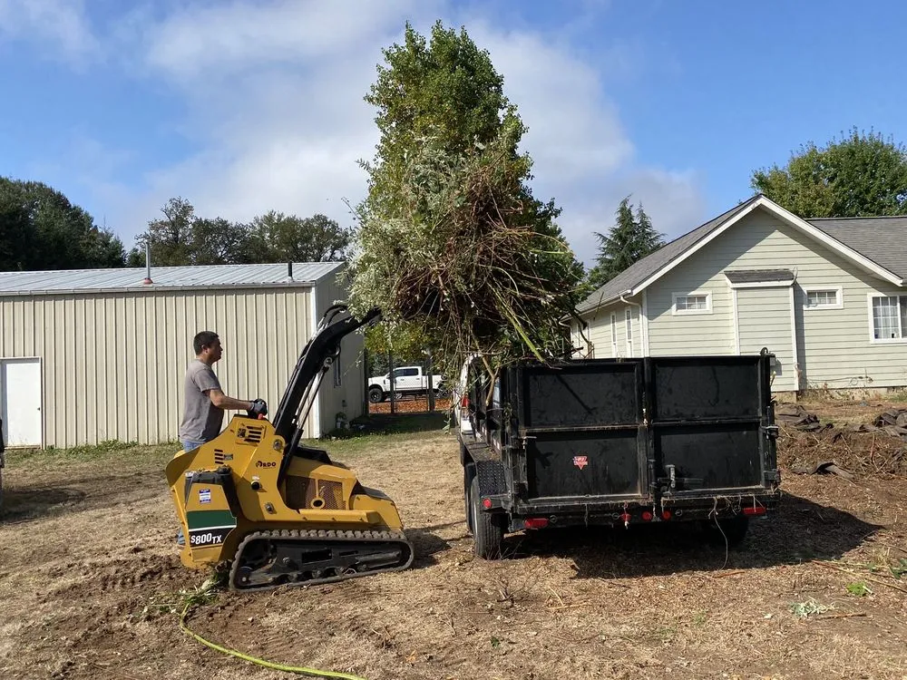 Affordable landscape design in Lebanon, OR - Affordable Yard Care