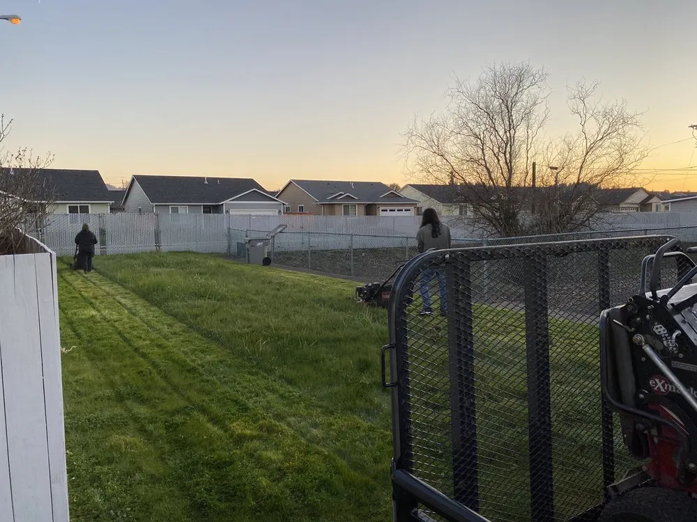 Expert lawn care service in Lebanon, OR by Affordable Yard Care
