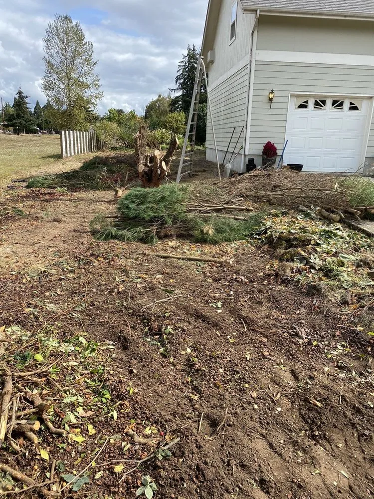 Professional yard cleanup service in Lebanon, OR - Affordable Yard Care