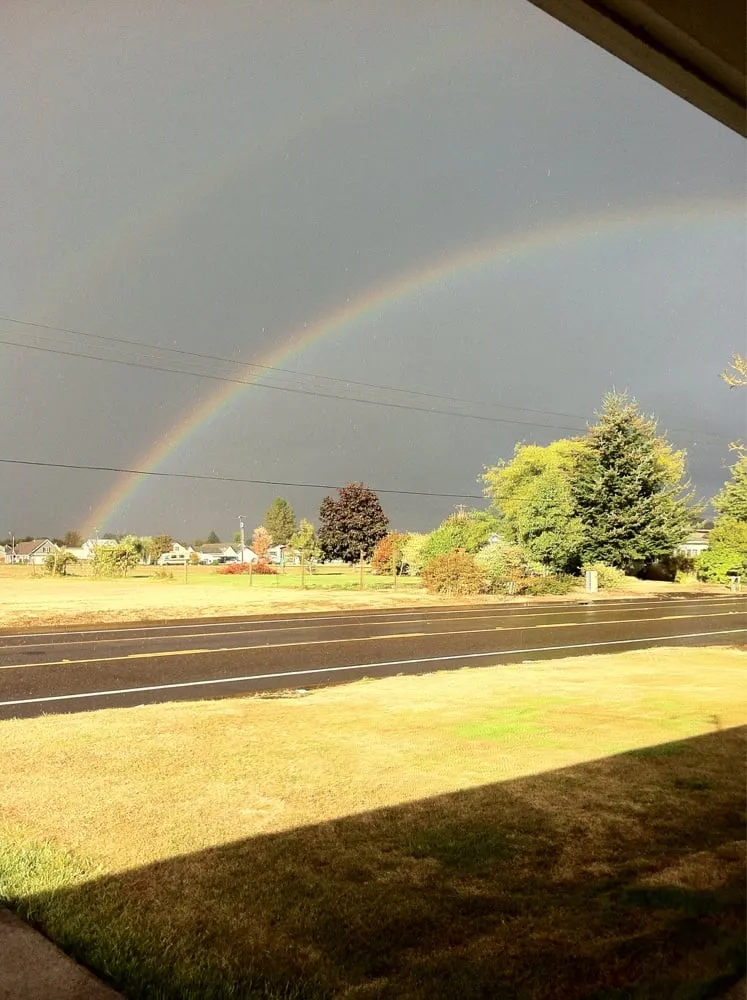 Affordable lawn care service for residential properties across Lebanon, OR - Affordable Yard Care