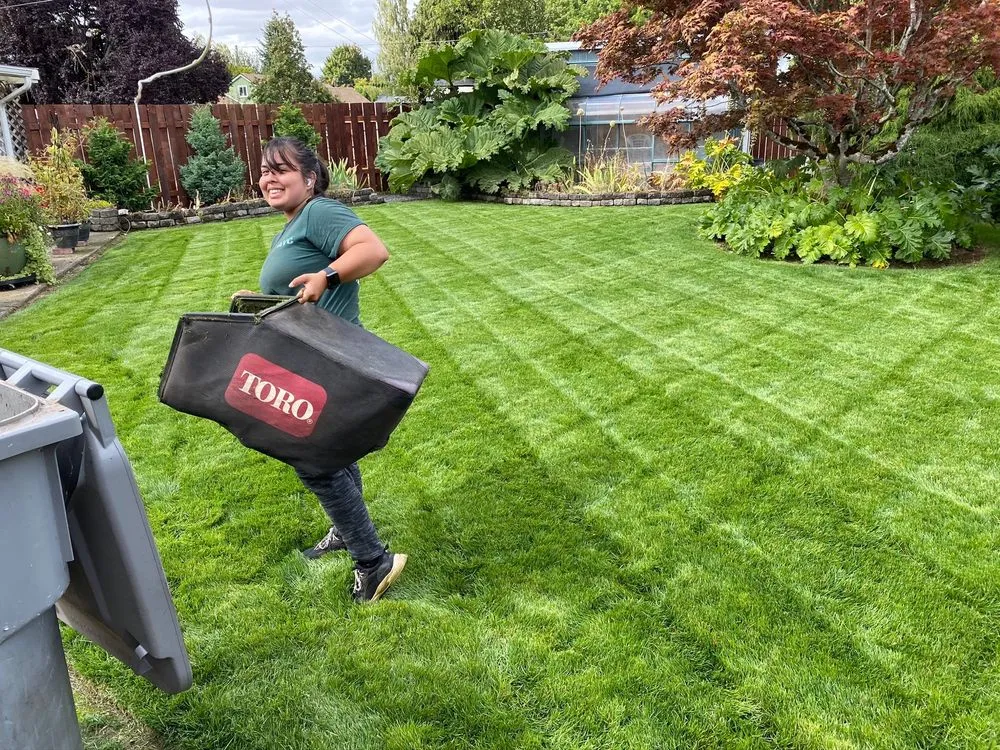 Professional landscaping services experts serving Lebanon, OR - Affordable Yard Care